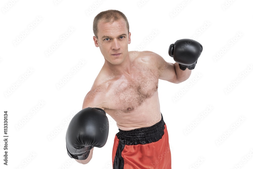 Portrait of boxer performing boxing stance Portrait of boxer performing boxing stance