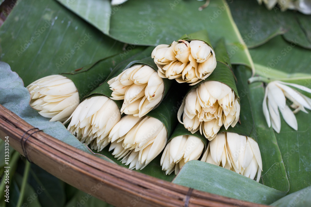 Fotografie White champaka with banana leaf