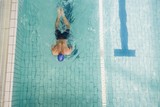 Swimmer doing the breaststroke in swimming pool