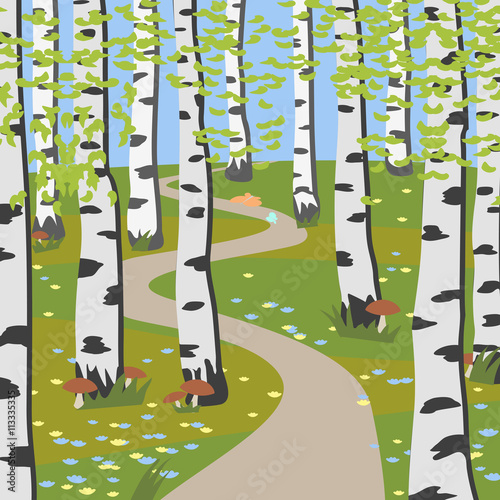 birch grove with mashrooms