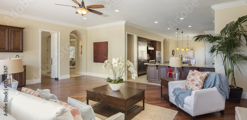 Beautiful living room with hardwood floors and couch. 