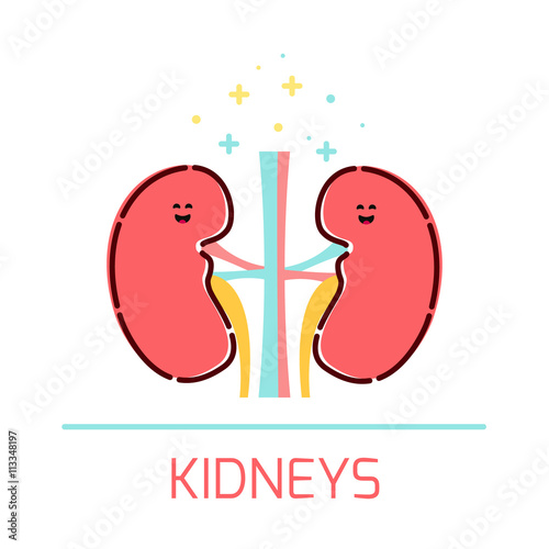 Cute healthy kidneys icon made in cartoon style. Kidneys cartoon character. Human body organs anatomy icon. Medical human internal organ symbol. Medical concept. Vector illustration.

