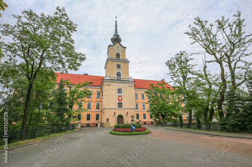 Zamek w Rzeszowie / Polska