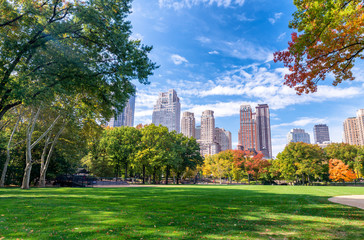 Canvas schilderij Central Park Herfstgebladerte in Central Park  © jovannig