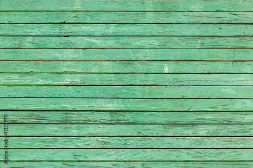 Obraz na płótnie The old green wood texture with natural patterns w salonie