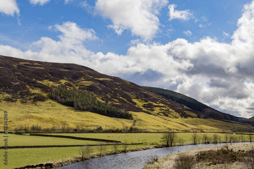 Obraz premium Beautiful country side