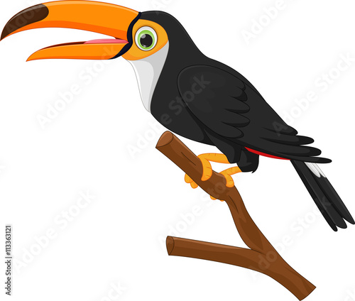 cute toucan bird cartoon
