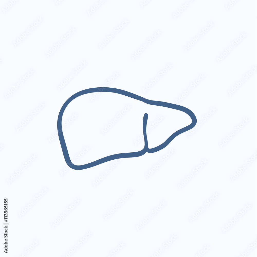 Liver sketch icon.