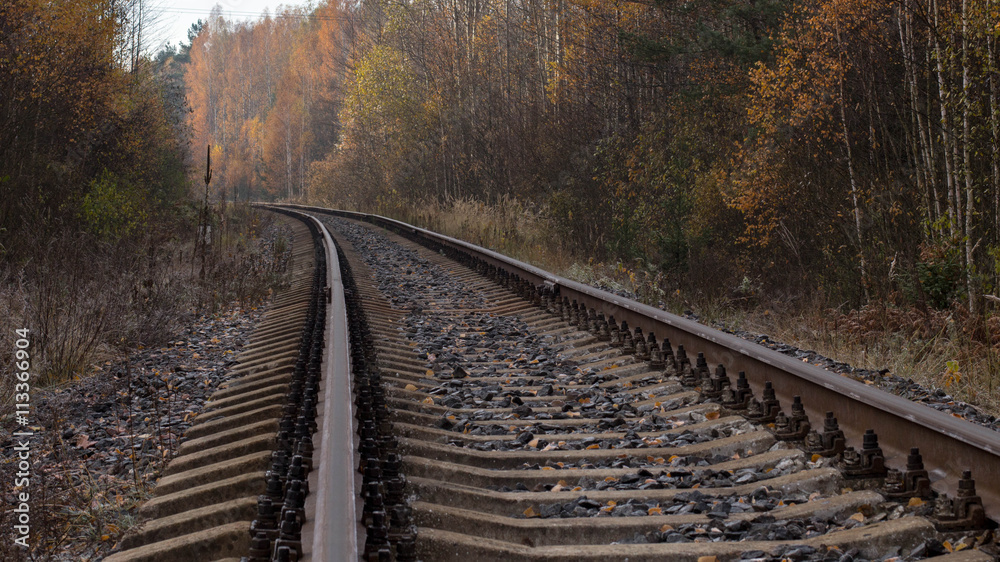 Fototapeta premium way