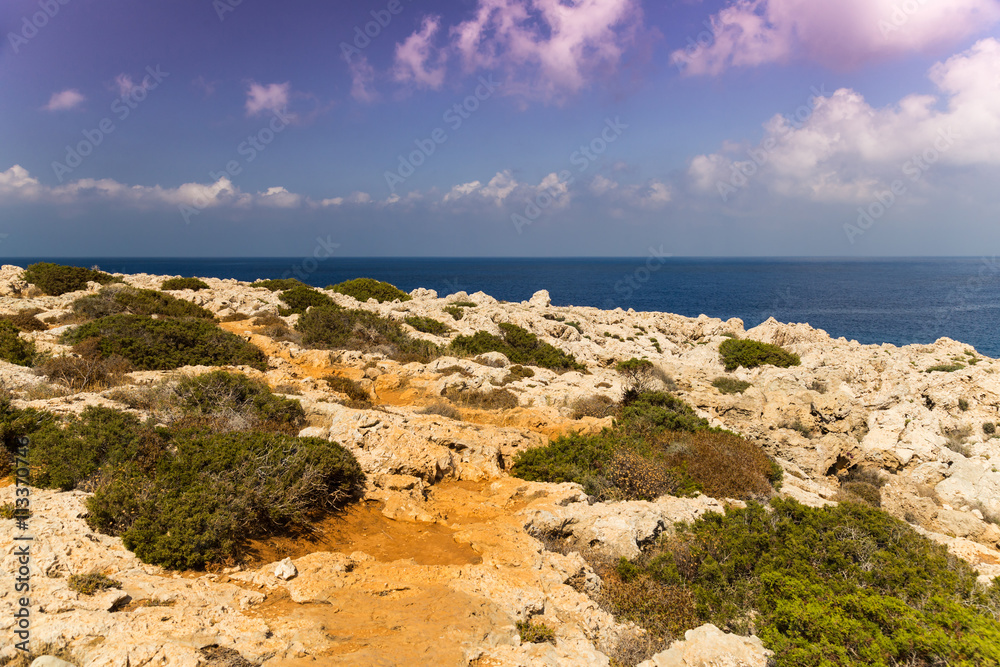 Seascape with rocks , shore of the Mediterranean Sea.