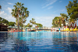 photo swimming pool, with a background of palm trees and a blue sky with a focus on water
