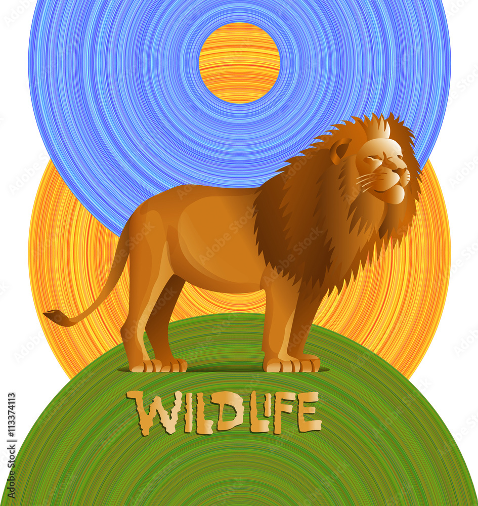 Lion on a green hill, blue sky and sun