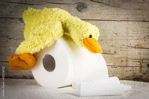 Toilet paper with funny plush duck on wooden background