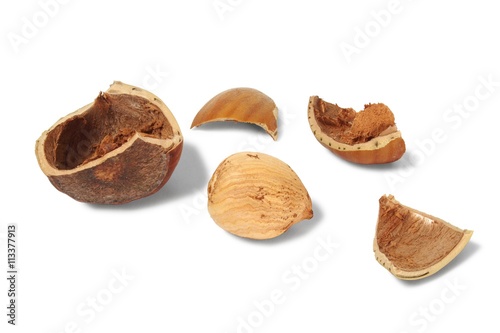 Hazelnut with broken shell