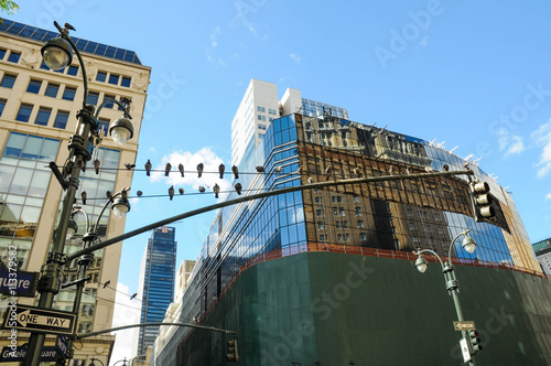 new york
