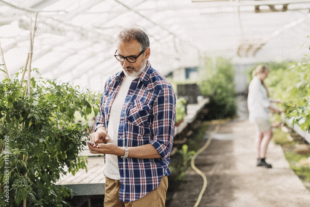 Mature man using smart phone while standing in greenhouse Mature man using smart phone while standing in greenhouse