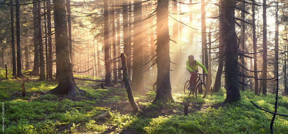Dawn rays mountain cycling