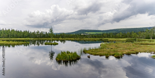 Moor marsh lake meadow forest sky reflection