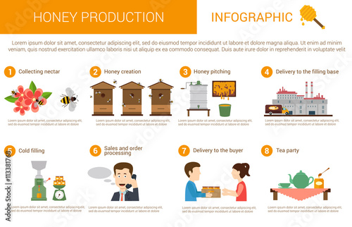Honey production stages in infographic form