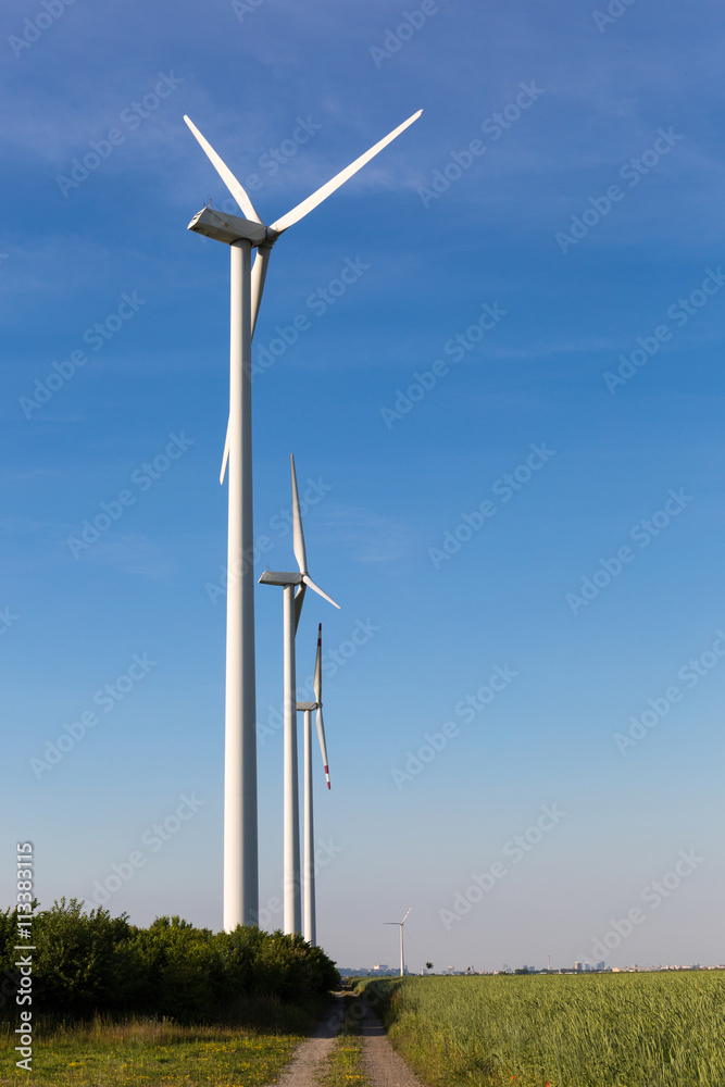 Beautiful fields surrounding windmills on the field during summer day with blue sky Beautiful fields surrounding windmills on the field during summer day with blue sky