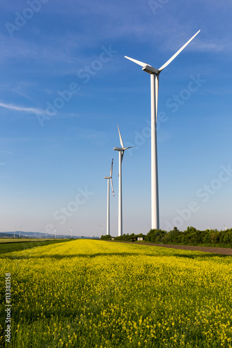 Beautiful fields surrounding windmills on the field during summer day with blue sky
