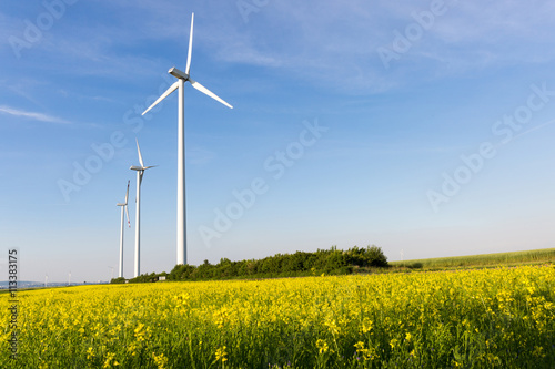 Beautiful fields surrounding windmills on the field during summer day with blue sky © michalpalka
