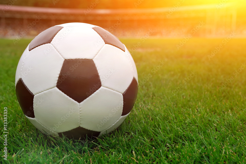 Fototapeta premium Soccer ball on green grass