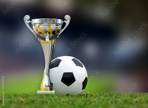 Konstfotografi Golden trophy and soccer ball in grass