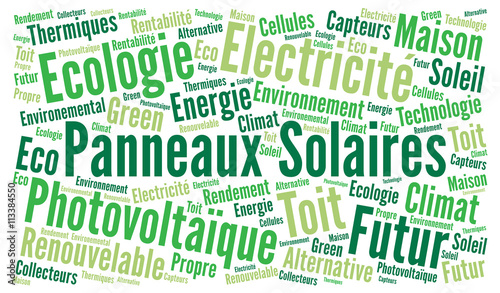 Solar panel word cloud concept with french text