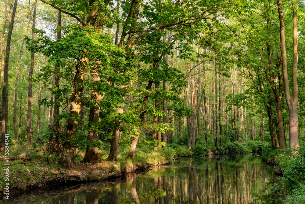Spreewald Spreewald