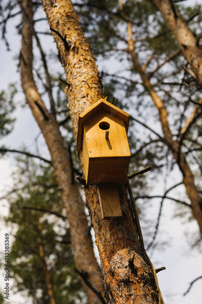 wooden Birdhouse hang on a pine tree wooden Birdhouse hang on a pine tree