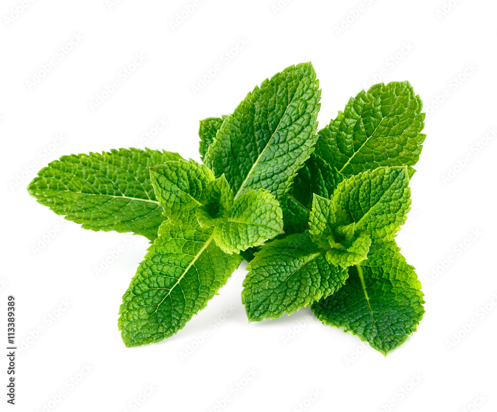 Fresh raw mint leaves isolated on white background Fresh raw mint leaves isolated on white background