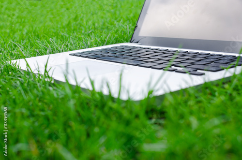 Working with laptop on freshly cut grass