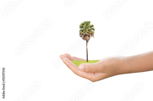 We love the world of ideas, man planted a tree in the hands white background