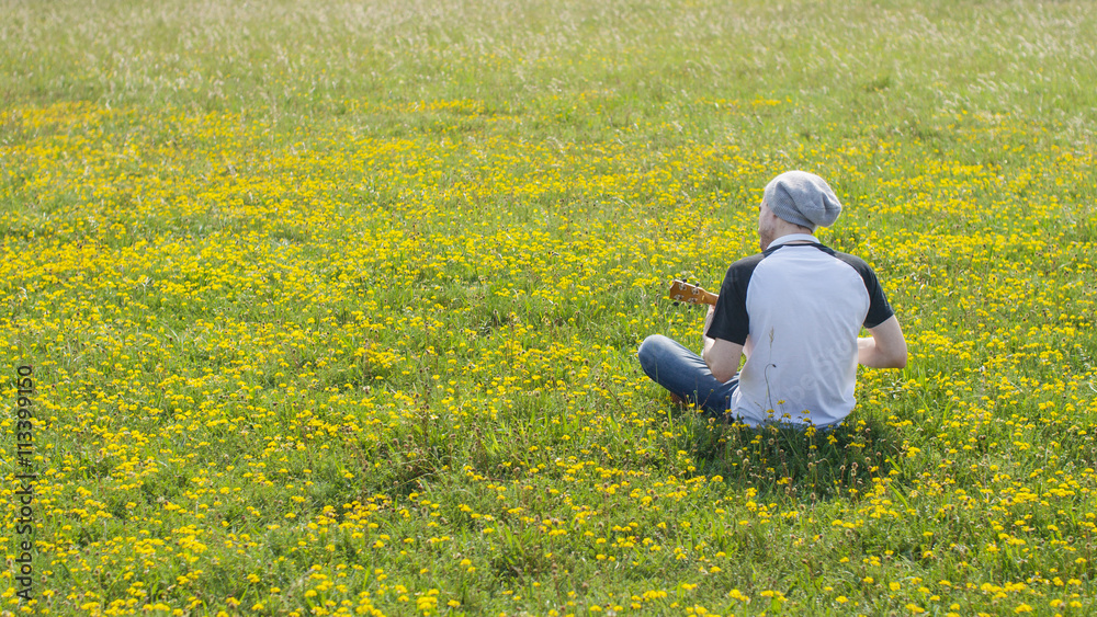 Back of a young man playing a guitar sat in a beautiful field of yellow flowers
