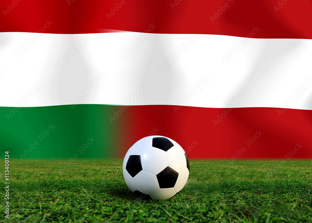 Soccer Euro 2016 ( Football ) Hungary and Austria Soccer Euro 2016 ( Football ) Hungary and Austria