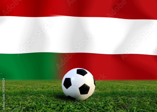 Soccer Euro 2016   Football   Hungary and Austria 