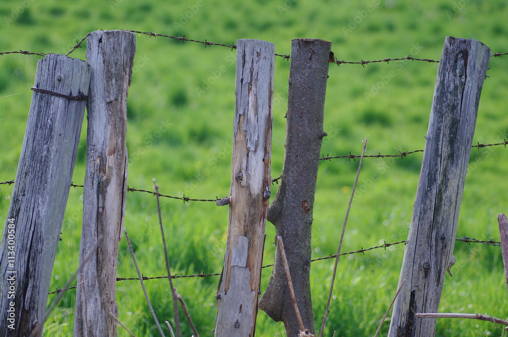 Fototapeta premium 牧場の古い柵
