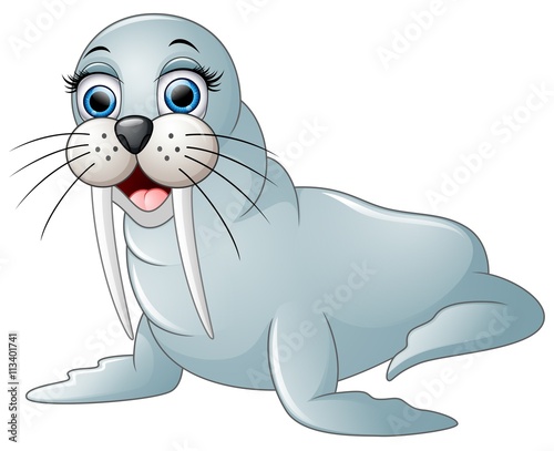 Cute walrus cartoon