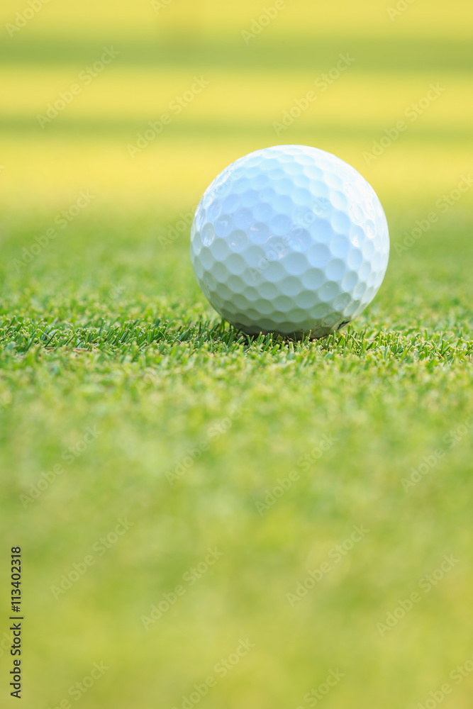 Golf ball on green grass in course Golf ball on green grass in course