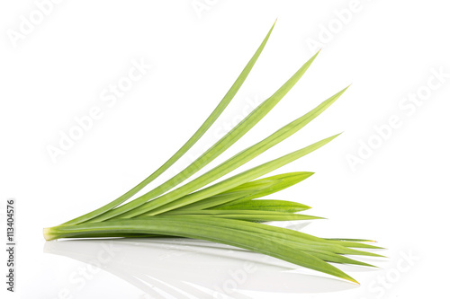 Close up green fresh pandan leaves isolated on white