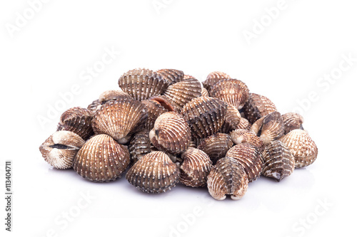 Raw blood cockle isolated on white background