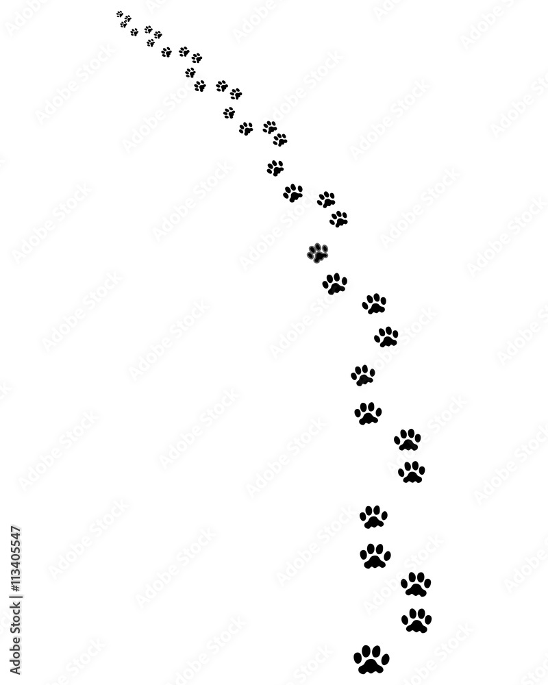 Footprints of dog, turn left, vector Footprints of dog, turn left, vector