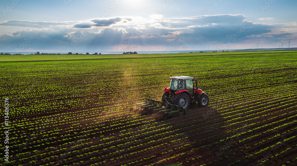 Tractor cultivating field at spring - obrazy, fototapety, plakaty 