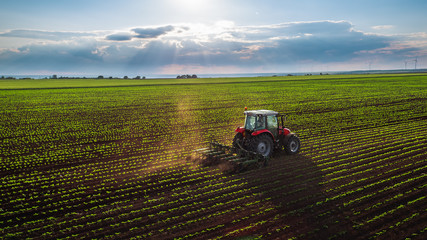 Acrylglasbilder Traktor Traktor bei der Feldbestellung im Frühling  © ValentinValkov