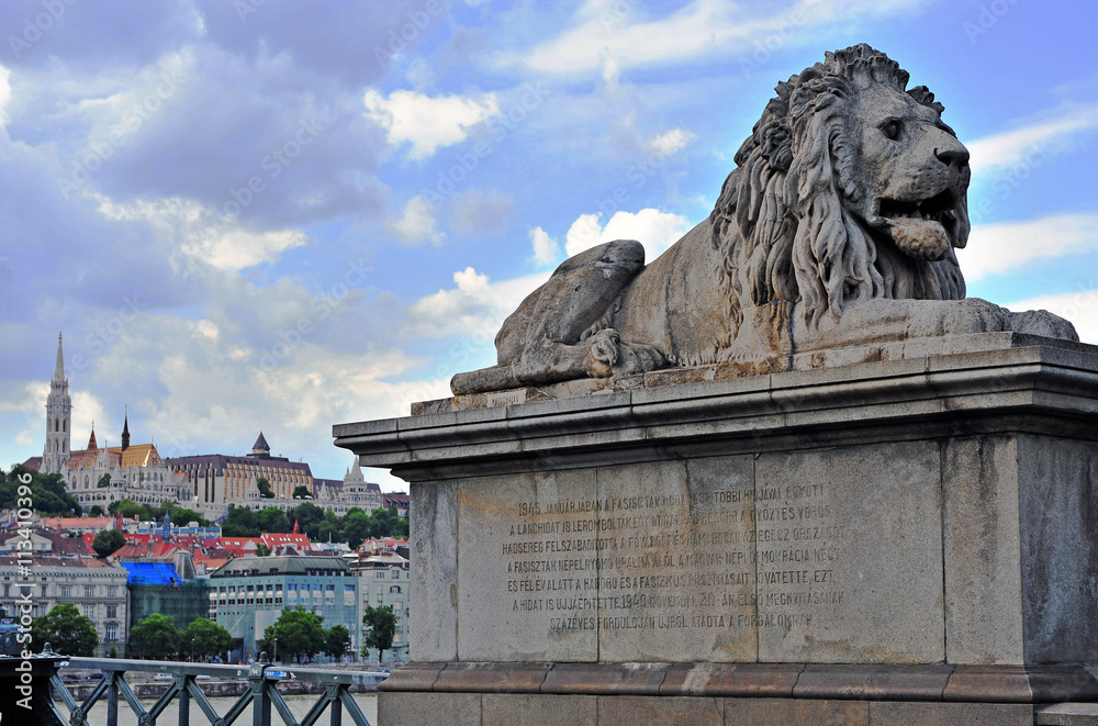 Lion and Budapest old town