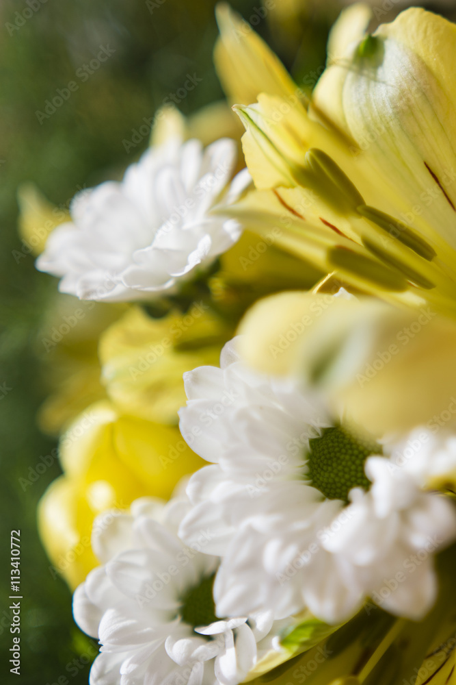 Daisy bouquet with white and yellow tulips and yellow lilies Daisy bouquet with white and yellow tulips and yellow lilies