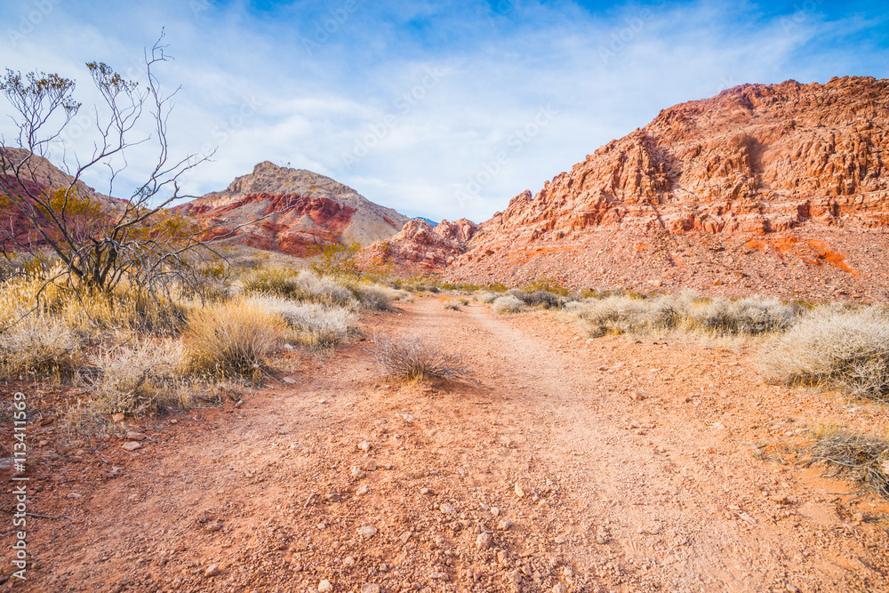Faint Dirt Path in Nevada