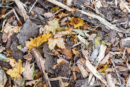 colored background of kindling wood and fallen leaves, autumn backing