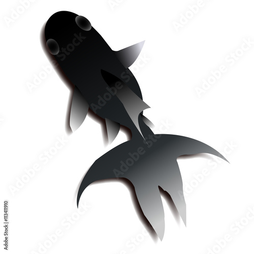 金魚　夏　魚　アイコン